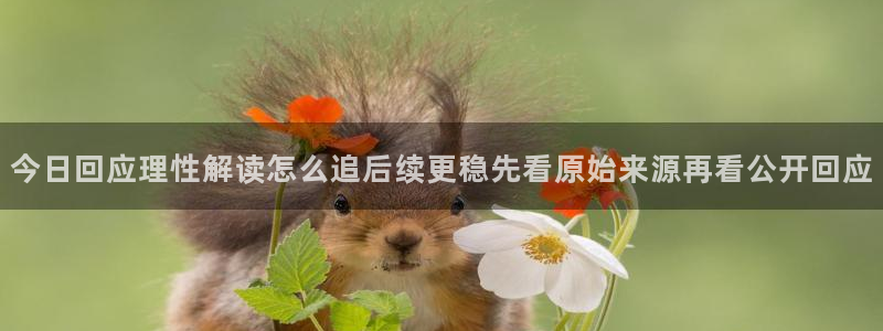 91吃瓜最新事件