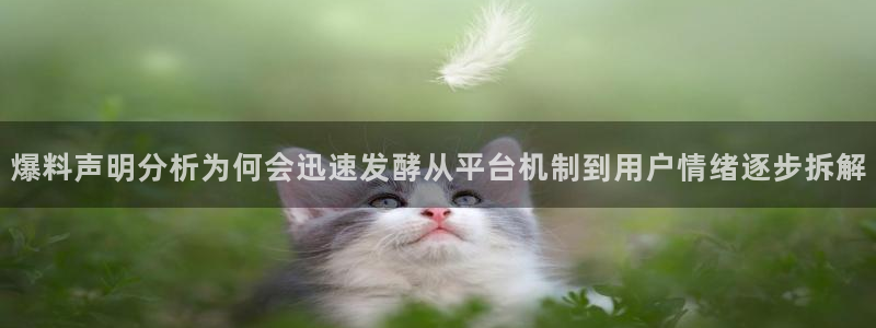 91吃瓜在线观看在线入口